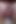 オナニーしながら尻を舐めて激しくイッかせる