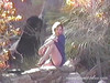 Pregled videozapisa