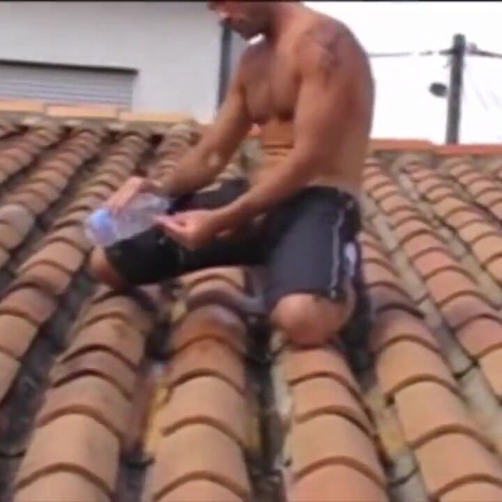 O pulă mare expune riscantă în aer liber