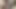 Heavy penis vedio black Penis