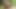 Teen shemale gets as fucked in woods