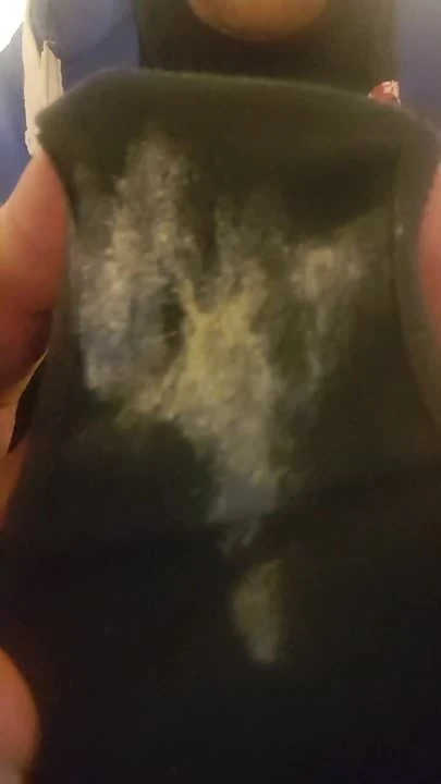 My wifes stinky panties