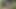 Video ön izlemesi