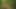 Deutsche Milf wird im Wald gefickt