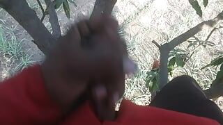 木の上の独身の男の子の脂肪新鮮なコック最高のヒンディー語性ビデオ720pフルHD