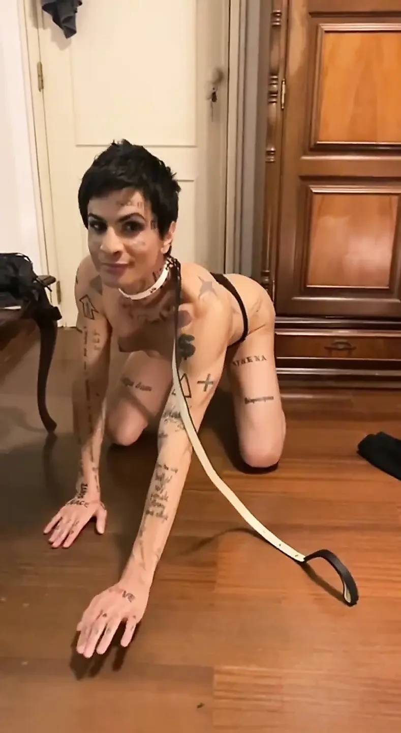 Dog at Owner's Feet