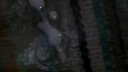 Dölüm