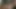 Masturbation and blowjob between friends