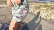 Pregled videozapisa