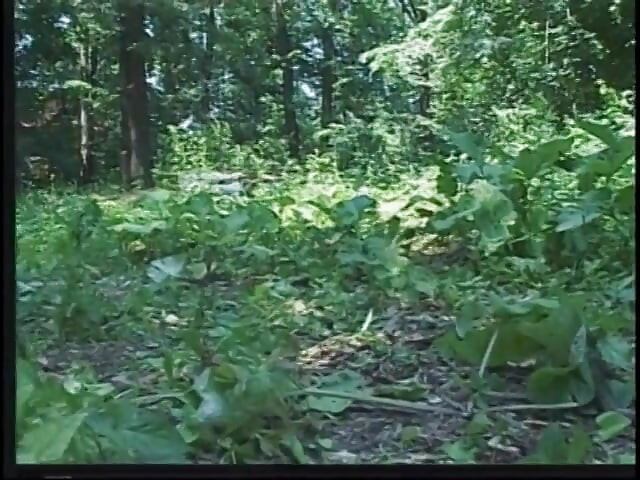 Mature brunette with big tits fucks outdoors