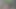 Secret Forest