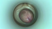 Pregled videozapisa