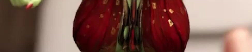 Η διαδρομή Spellbook NTR