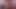 Your favorite models will be live during Virtual Venus 2020