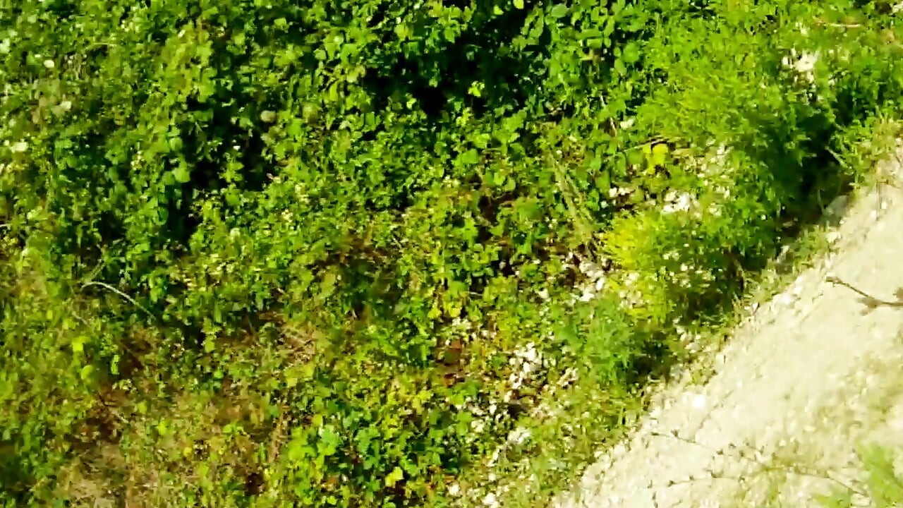 My teen stepdaughter gave me a delicious blowjob while we were walking by the sea