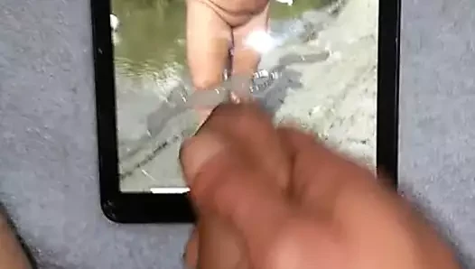 olgundutch için haraç