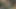ニンフの秘書ベイブが上司に壊される