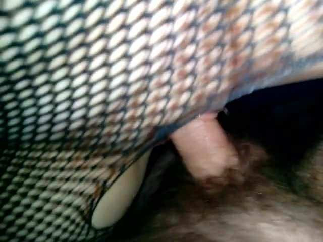 Geiler fick