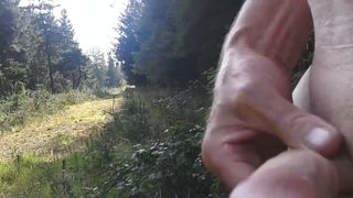 wanking in  the forest 2
