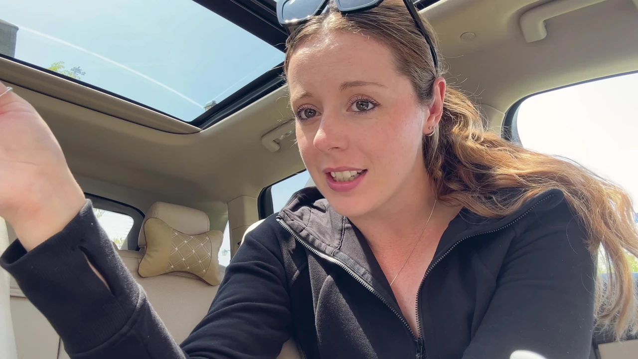 Masturbating with a pink dildo in the back seat of my car