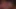 Masturbation Contest – Cumshot Orgasm