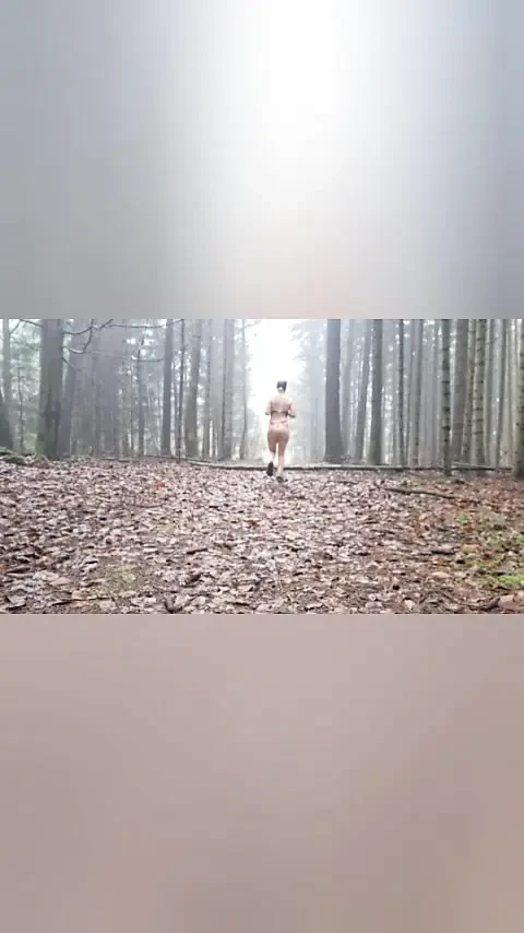 In search of Santa Claus