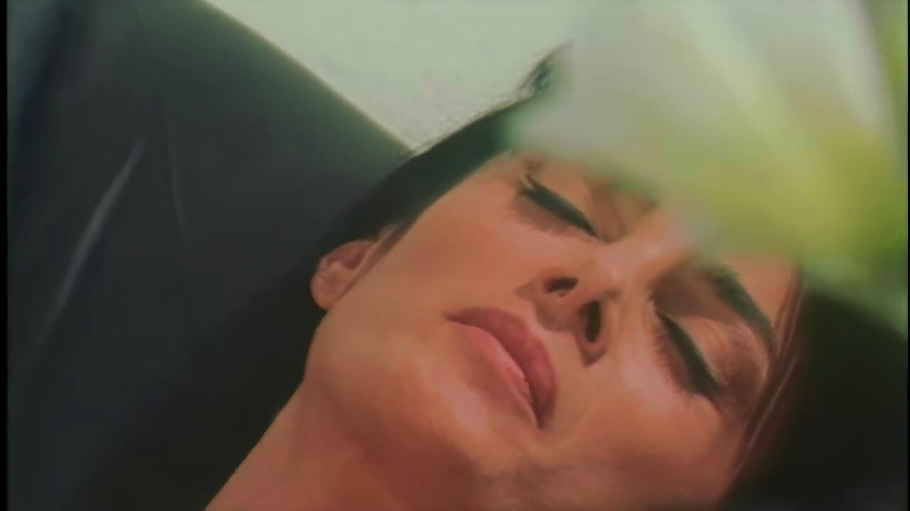 The White Venus in the Office Swallows Everything