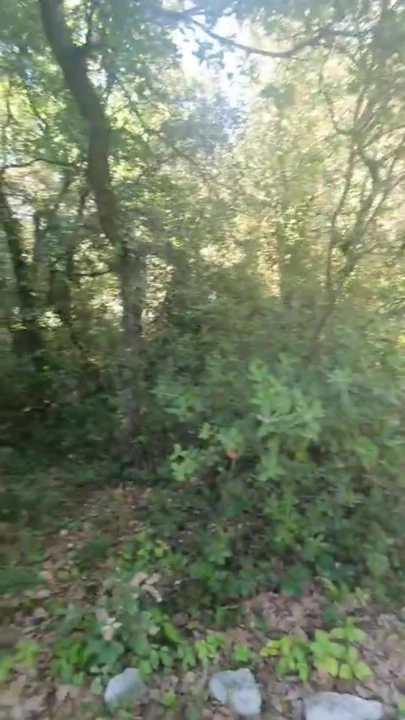 Outdoors, caught masturbating while watching the neighbor who is sunbathing in a thong bikini | Clip 1