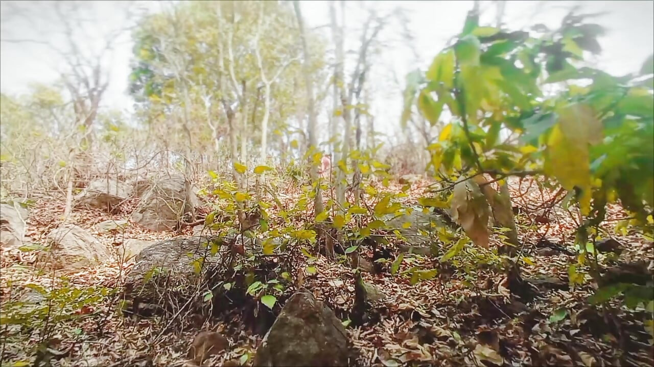 I enjoyed taking my boyfriend to the jungle and fucking him.