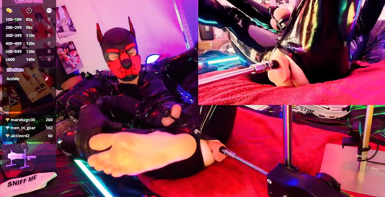 Nicolaus Rubber Show with Pet Mask