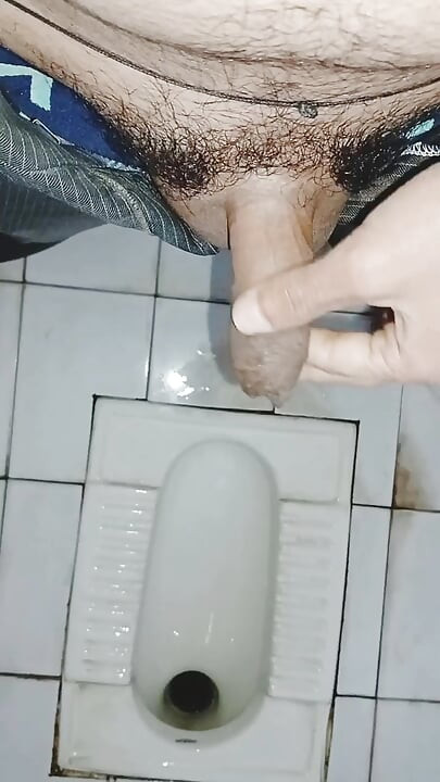 Compilații cu pisat
