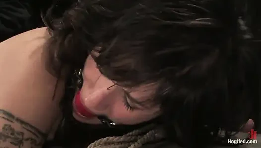 Stacey Stax - im hogtie