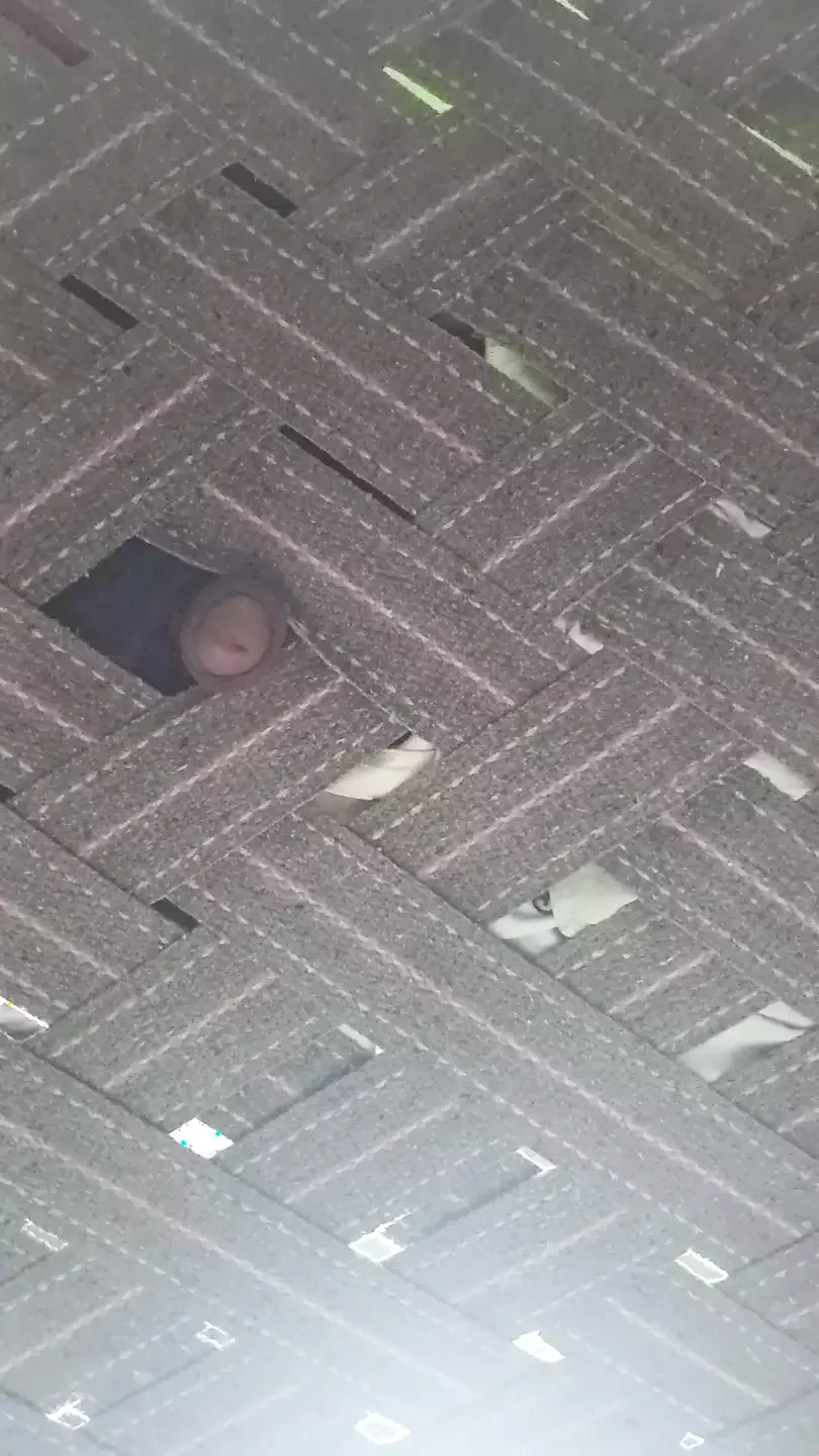 性欢呼时间