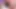 Mesmerizing Encounter Asian Beauty Girls in Anal Action
