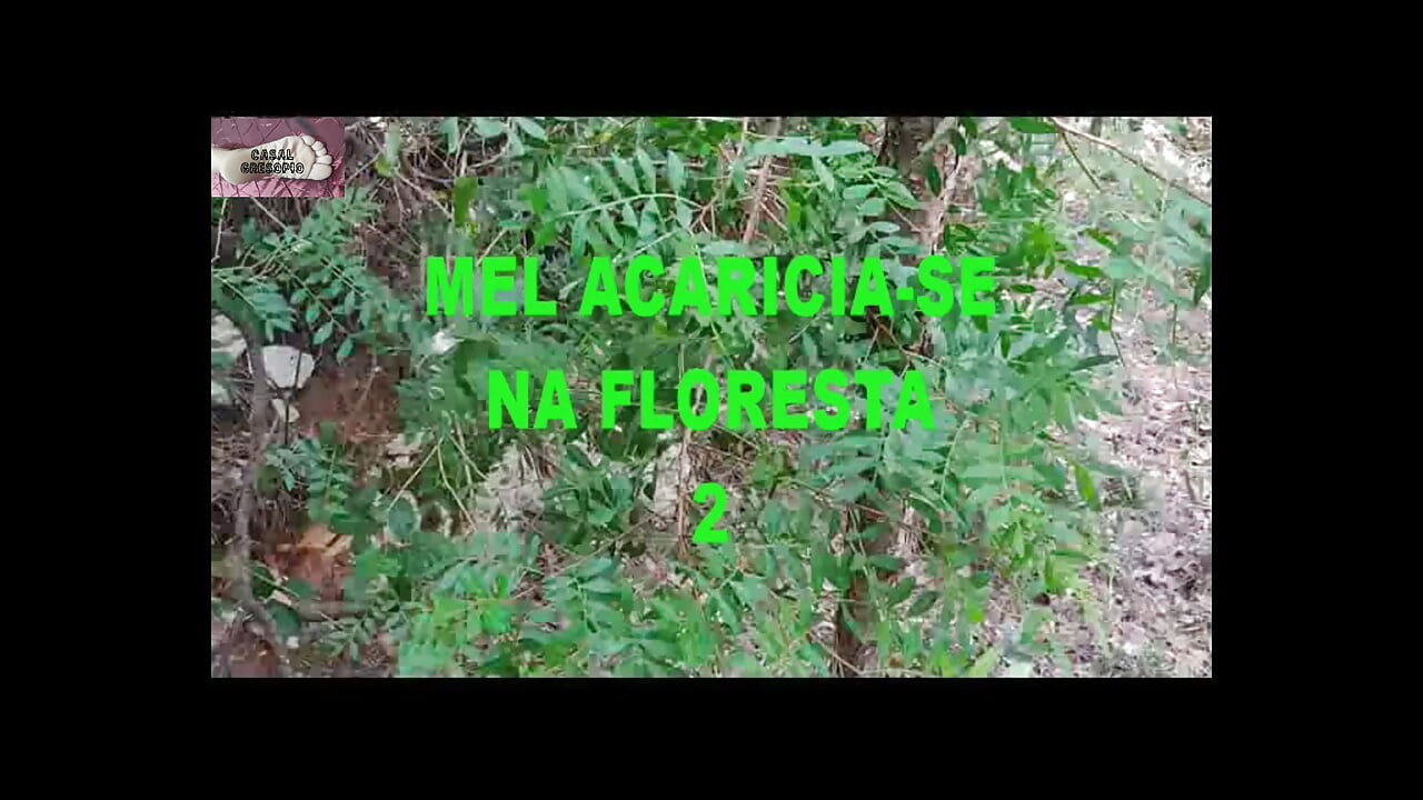 Mel miluje u šumi 2