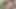 Sexy Amateur Jerking Off His Huge Veiny Dick Until Creamy Cumshots - Compilation "-" uncut "-"horny