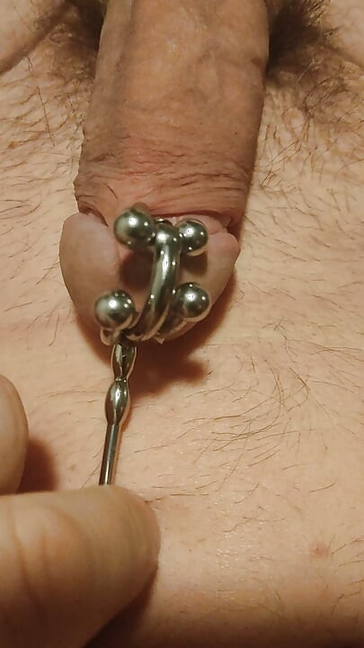 Entertainment for a cuckold