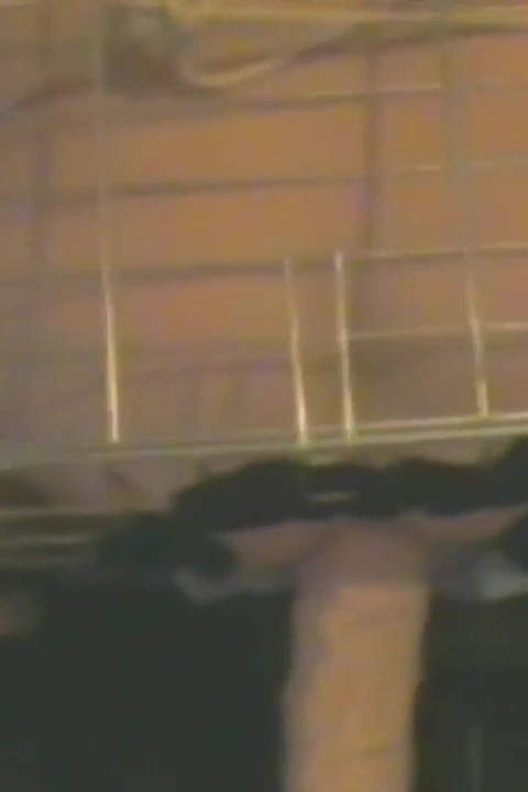 Slave in Cage Gets Anal Used