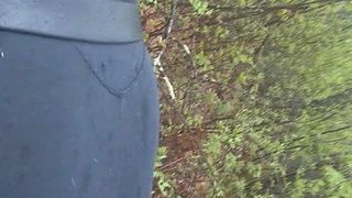 Burbuja a tope mariquita caminando en el bosque