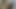 Sırayla yalıyorlar... ve hiçbiri düelloyu kaybetmek istemiyor - porno en español