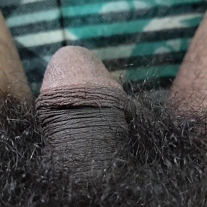 숨바꼭대기 플레이