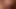 Slutty tranny with ugly face is masturbating her dick on the sofa