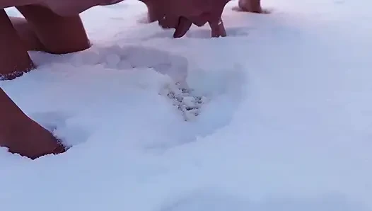 Swingers. İki Evli Çift Karda Herkesin Içinde Çıplak Oynuyor. Kadınlar Karda Işiyor Ve Erkekler Yalıyor.