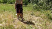 Previzualizare clip video