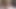 الملاك الآسيوي 24900