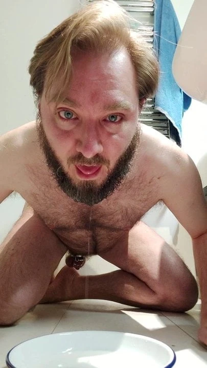 Locked hairy guy humiliation piss drinking