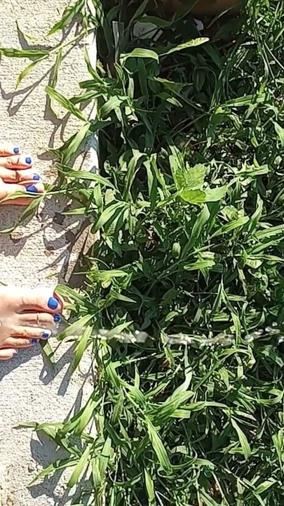 Showing off our feet again | Clip 1