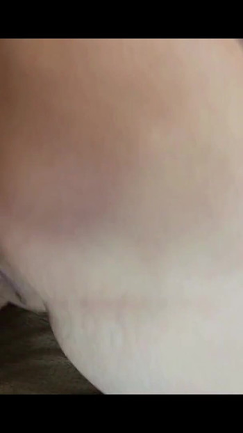 Spectacular moment from "Curvy Babe Amateur couple"
