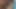 2 bären und junge junge, harter sex