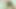 colombian porn creampie big big thick dick